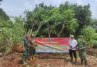 Satgas TMMD ke-126 Kodim 0601/Pandeglang Laksanakan Penanaman 500 Pohon di Sepanjang Jalan Program TMMD